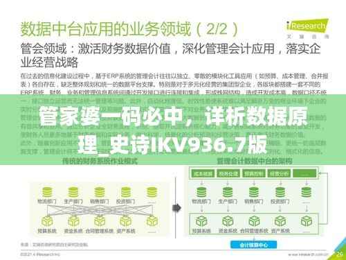 管家婆一码必中,详析数据原理_史诗IKV936.7版