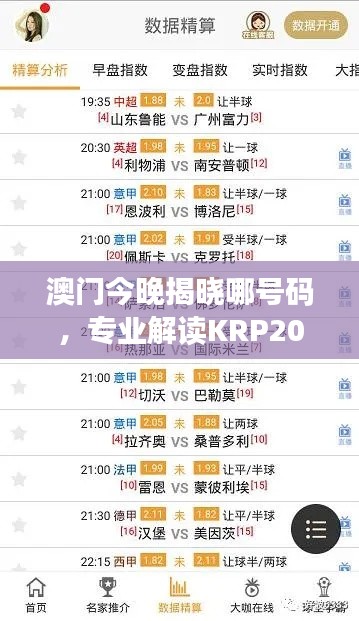 澳门今晚揭晓哪号码,专业解读KRP206.08号码预测