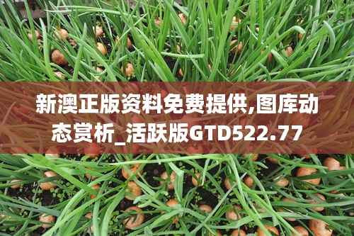 新澳正版资料免费提供,图库动态赏析_活跃版GTD522.77