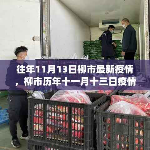 柳市历年11月13日疫情回顾,生命与希望的战役最新动态