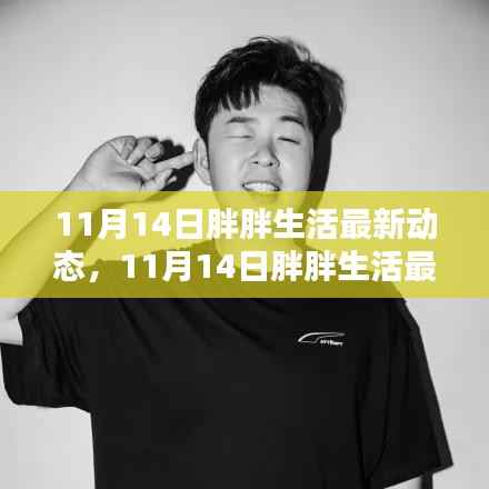 11月14日胖胖生活最新动态,任务完成与技能学习全攻略揭秘