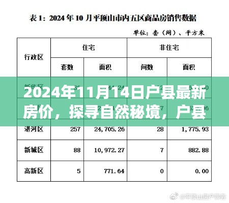 探寻自然秘境,户县最新房价背后的宁静之旅(2024年11月)