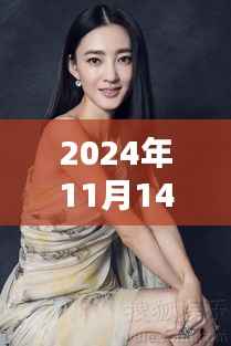 王丽坤2024年11月14日最新动态,星光璀璨开启崭新篇章