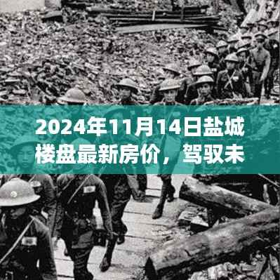盐城最新楼盘房价动态,驾驭购房之旅与自我成长的启示(2024年11月14日)