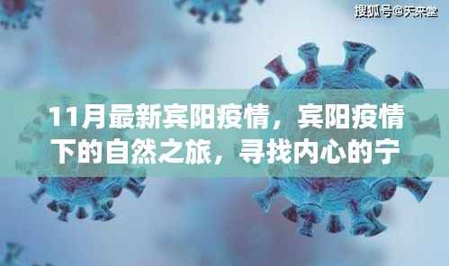 宾阳疫情下的自然之旅,11月最新动态与内心力量的寻找