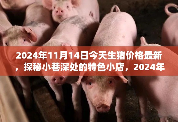 2024年11月14日生猪价格最新动态与小巷深处特色小店探秘