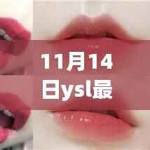 揭秘YSL最新色号背后的故事,11月14日的美丽邂逅与温馨情感