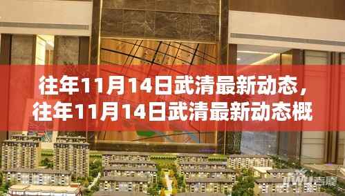 往年11月14日武清动态概览,最新发展与资讯汇总
