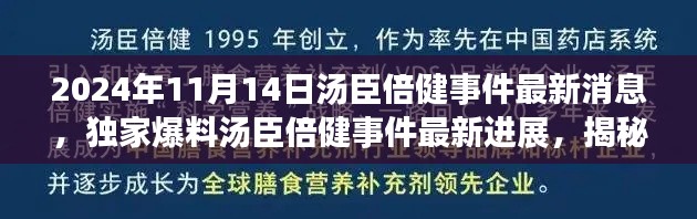 独家揭秘,汤臣倍健事件最新进展与深度解析(2024年11月14日最新消息)