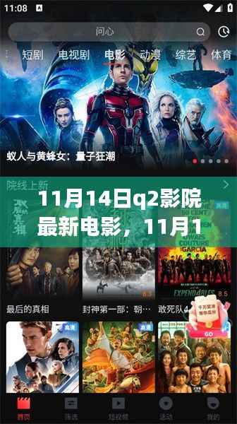 11月14日Q2影院最新电影,深度探讨与观众观点