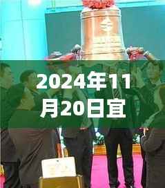 宜华木业最新动态与行业展望,聚焦焦点,洞悉未来