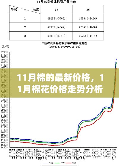 11月棉花价格走势分析,最新动态、市场洞察与价格预测