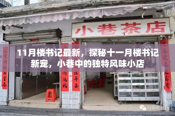 探秘十一月楼书记新宠,小巷独特风味小店揭秘