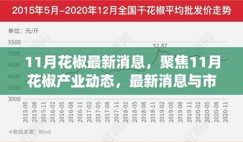聚焦11月花椒产业动态,最新消息与市场洞察