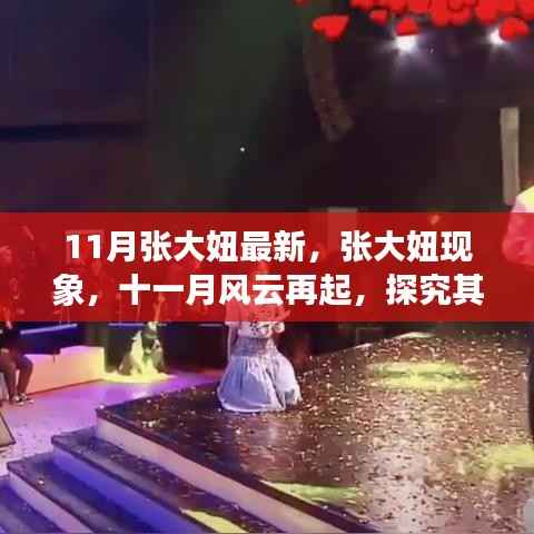 张大妞现象揭秘,十一月风云再起,探究背景、事件与影响力