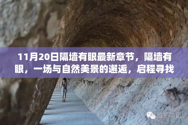 隔墙有眼,与自然美景的邂逅与内心宁静之旅