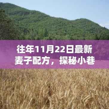 探秘小巷深处的独特美味,揭秘最新麦子配方出炉!