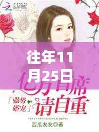 往年11月25日婚宠溺爱,热门章节与情节深度解析回顾