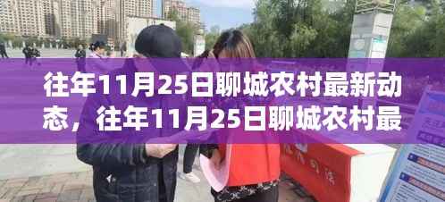 往年11月25日聊城农村最新动态深度解析,产品特性、使用体验与竞品对比评测报告