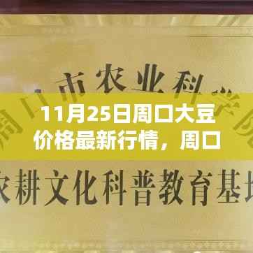11月25日周口大豆价格行情解析,最新报价及查询指南(初学者与进阶用户必看)