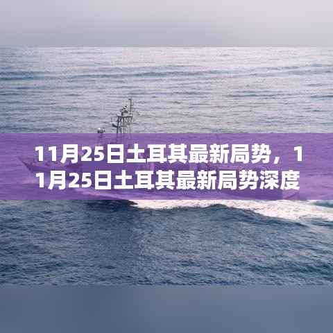 11月25日土耳其局势深度解析,最新动态与未来展望