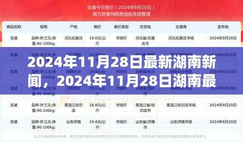 湖南新闻聚焦,最新动态与事件报道(2024年11月28日)