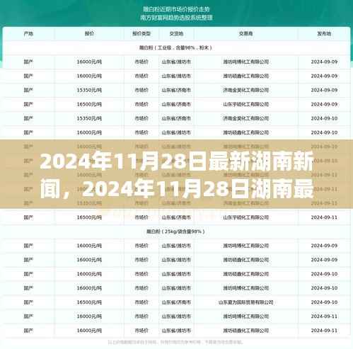 湖南新闻聚焦,最新动态与事件报道(2024年11月28日)