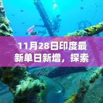 印度最新单日新增背景下,秋日自然美景的心灵之旅探索静谧生机