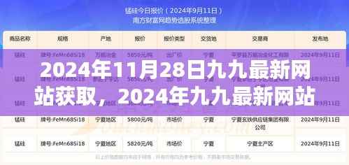 揭秘2024年九九最新网站价值，深度解读其获取方式与价值所在