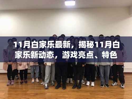 揭秘11月白家乐新动态,游戏亮点、特色与发展趋势展望