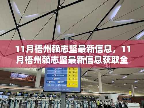 11月梧州赖志坚最新信息获取全攻略,一步步教你追踪与了解