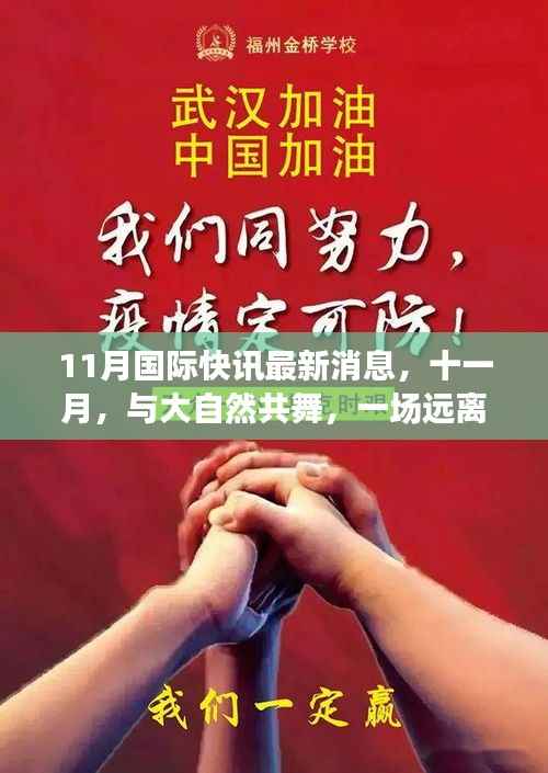 十一月国际快讯,与自然共舞的心灵之旅