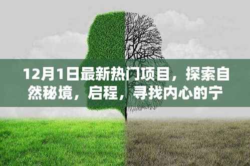探索自然秘境,最新热门项目的启示与内心宁静之旅