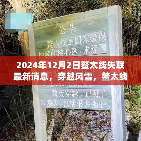 鳌太线暖心重逢,穿越风雪后的温情故事