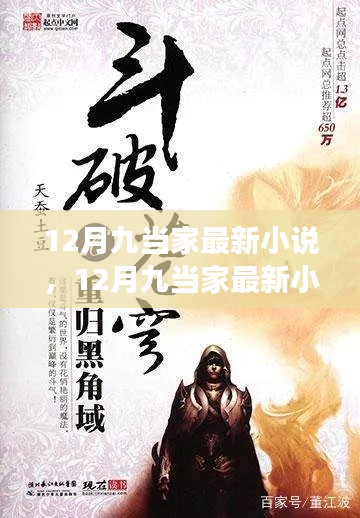 多维度视角下的深度解读,12月九当家最新小说解析