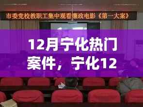 12月宁化热门案件，宁化12月热门案件深度解析，背景、进展与影响