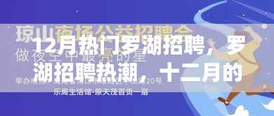 罗湖招聘热潮,十二月人才聚集与流动