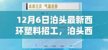 泊头西环塑料招工详评,产品特性、使用体验、竞品对比及目标用户群体分析揭秘