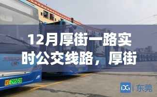 厚街公交指南,最新实时更新线路攻略,畅行无阻的公交之旅🚌