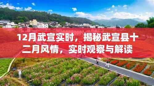 揭秘武宣县十二月风情,实时观察与解读