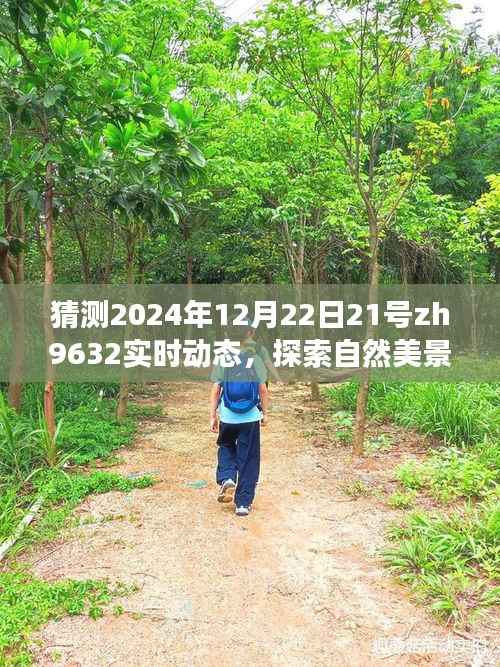 探索自然美景之旅,预测ZH9632航班在冬至之夜的奇妙动态(2024年12月22日)