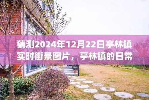 亭林镇未来街景猜想，2024年温馨日常奇遇纪实图片之旅