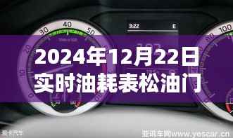 革命性智能油耗表，响应迅速，助力绿色出行新纪元