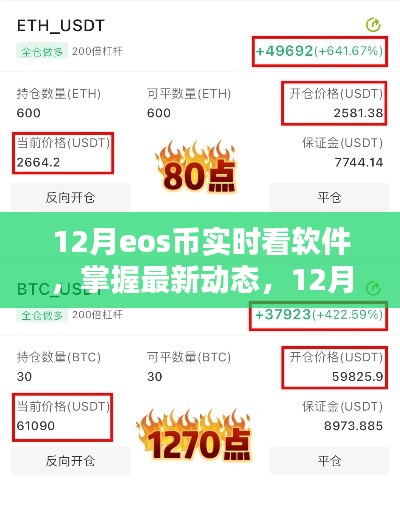 12月EOS币实时查看软件，掌握最新动态的操作指南