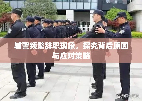 辅警频繁辞职现象,探究背后原因与应对策略