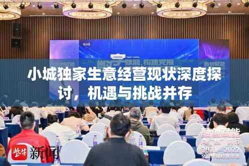 小城独家生意经营现状深度探讨,机遇与挑战并存