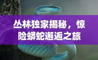 丛林独家揭秘,惊险蟒蛇邂逅之旅