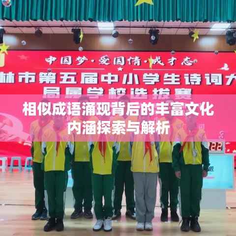 相似成语涌现背后的丰富文化内涵探索与解析