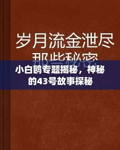 fanzhangjishu 第12页