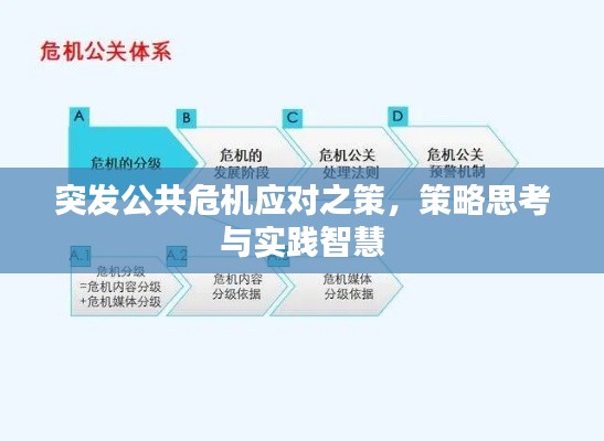 突发公共危机应对之策,策略思考与实践智慧